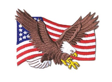 Patch USA adelaar