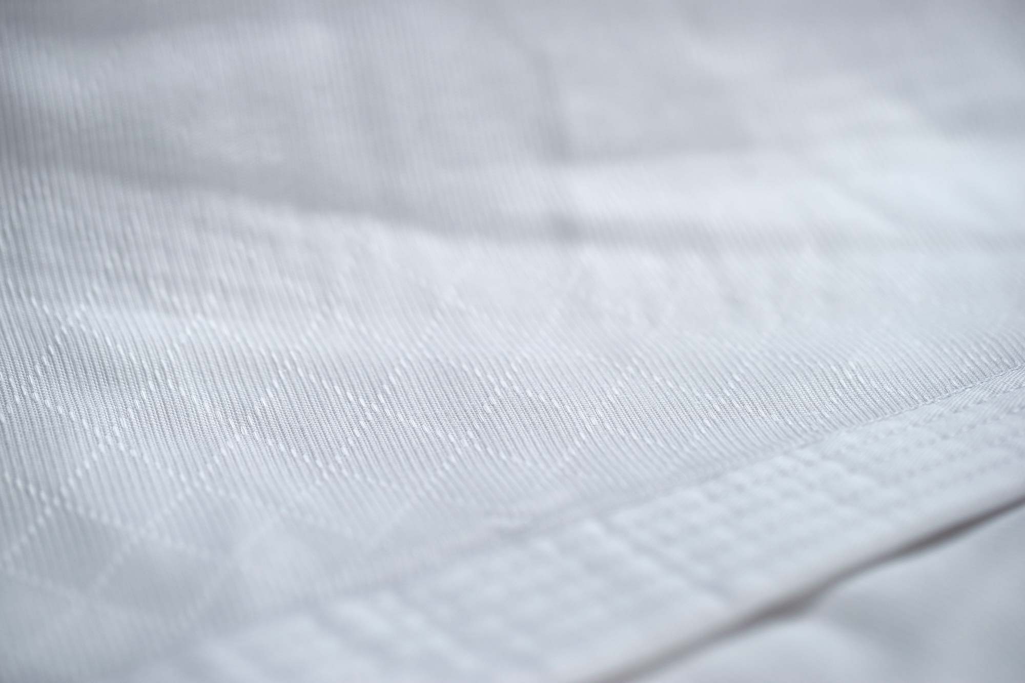 Adidas Judopak Evolution J250E