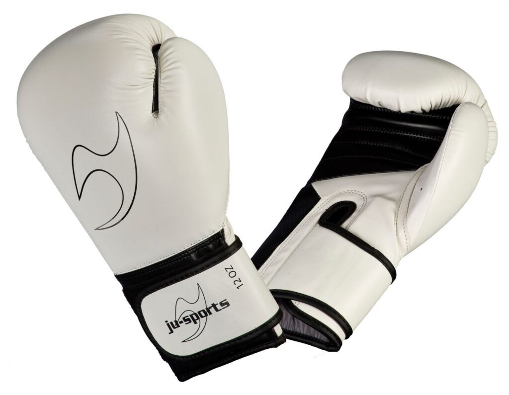 Bokshandschoen Training 2.0 wit