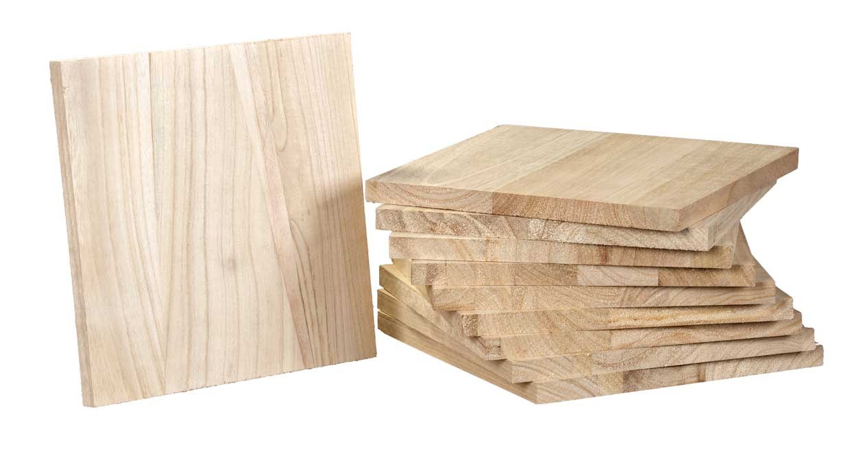 Breekplank Paulowania - 30x30CM per 10 stuks